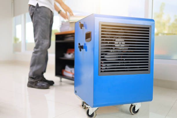 Best Indoor Air Quality Assessment  in Woodsboro, TX